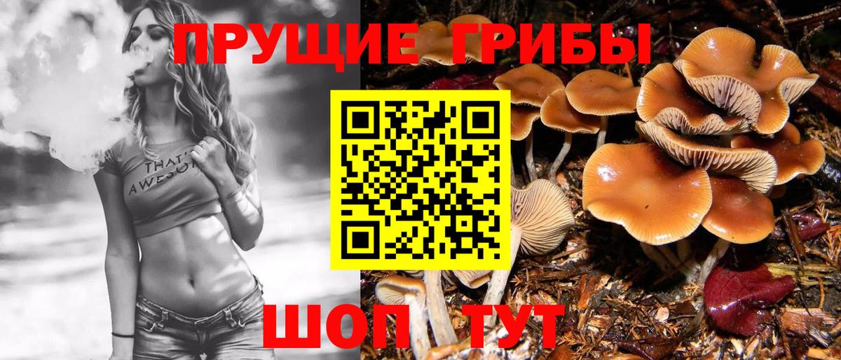 Псилоцибиновые грибы Magic Shrooms Киров
